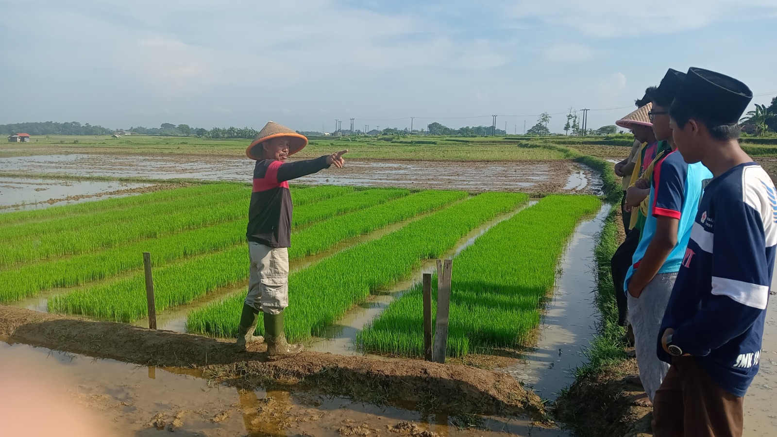 Agribisnis